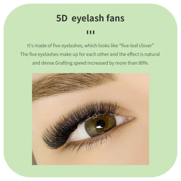 Eyelash Extension Kit: W Shape 3D/4D Premade Volume Fans - Image 6
