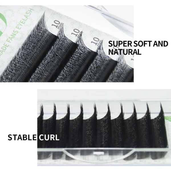 Eyelash Extension Kit: W Shape 3D/4D Premade Volume Fans - Image 4